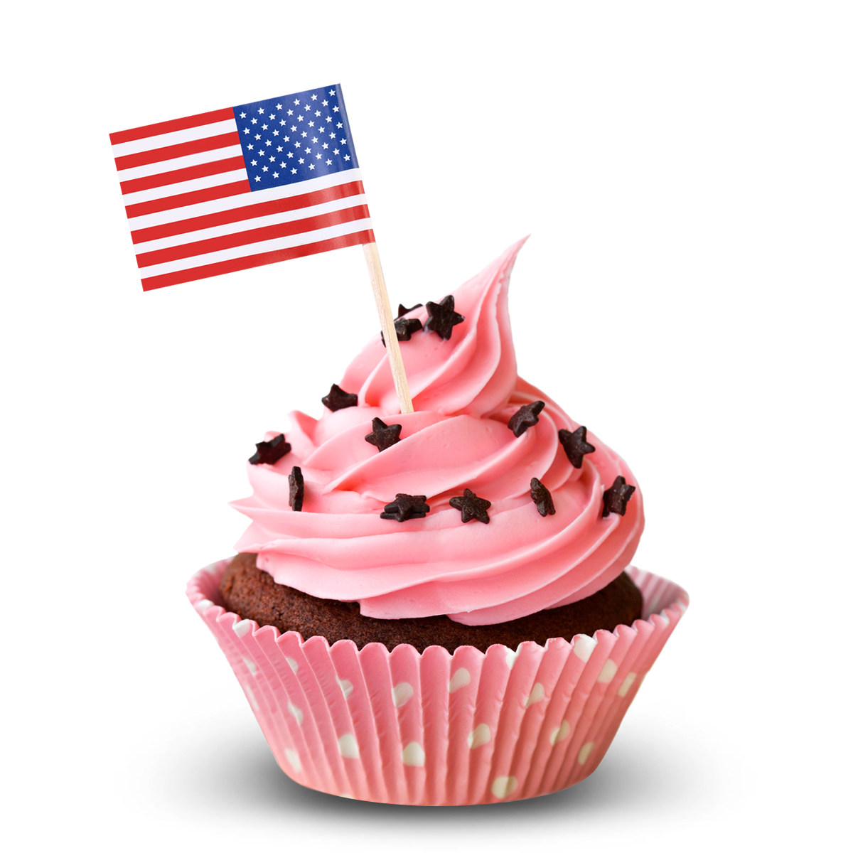 Food Snacks Party - 100 Buah Tusuk Gigi Bendera Amerika